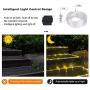 Solar Rope Lights Outdoor,Solar String Lights,Clear Tube LED Rope Light,Contain 2 Pack 65.6Ft 200 LED Light,Waterproof Solar Fairy Lights for Garden,Fence,Yard,Party,Christmas Tree Decoration