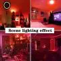 LED Red Light Bulb Dimmable 40W Equivalent A15 Red Light Bedroom Night Light Party Decoration Porch Holiday Lighting E26 Base 5W 4Pack