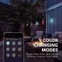 HBN Smart OutdoorPatio Lights RGBW Color & White LED Lights Smart String Light-24ft, 12 Round Bulbs, 2.4 GHz Only, Works with Alexa/Google Assistant, App Controlled, No Hub Needed, IP65 Waterproof
