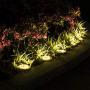 UPGRADED 2021! Solar Ground Lights, 8 LED-12 Pack Solar Powered Disk Lights Outdoor Waterproof Garden Landscape Lighting for Yard Deck, Pool, Lawn, Patio, Pathway Walkway, In-Ground Lights, Cool White