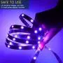 RGB LED Strips Lights Kits 12V Color Changing Strip Lighting with Remote Rope Light for Room, Bedroom, Home, Kitchen Cabinet, Christmas, Party Decoration, Non-Waterproof (32.8FT/10M-RGB)
