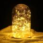 TingMiao Fairy Lights Battery Operated String Lights with Remote Control Timer, 33Ft 100 LED Waterproof 8 Modes Copper Wire Twinkle String Lights for Bedroom Indoor, Warm White,2 Pack