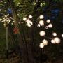 Upgraded Outdoor Solar Lights, Decorative Solar Garden Lights Solar Fairy Flower Lights Waterproof for Patio Yard Pathway Garden Christmas Decor (4 Pack,Warm White)