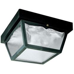 Westinghouse Lighting 6682300 2-Light Porch Clear Glass Panel