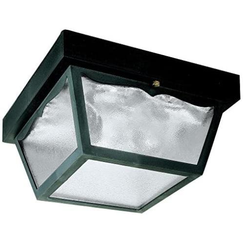 Westinghouse Lighting 6682300 2-Light Porch Clear Glass Panel
