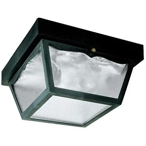 Westinghouse Lighting 6682300 2-Light Porch Clear Glass Panel Westinghouse Lighting 6682300 2-Light Porch Clear Glass Panel