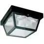 Westinghouse Lighting 6682300 2-Light Porch Clear Glass Panel Westinghouse Lighting 6682300 2-Light Porch Clear Glass Panel
