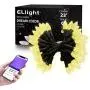 ELlight C9 Outdoor String Lights with APP, Dream Color Changing LED Commercial Outdoor Christmas Lights Waterproof for Patio Party Holiday Wedding Birthday [60 LEDs & 23ft]