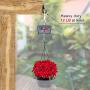 SELEWARE Pack of 20 Q-Hanger, Home Christmas Lights Hanger Hooks with Phillips Screw for Garage New Year Party Outdoor Easy Release Wire and Fairy Led Lights,Widthwise Screw Hooks for Indoor Outdoor