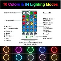 Ollny Rope Lights 66ft 200 LED Colors Changing Outdoor String Fairy Twinkle Strip Tube Lights with Remote for Bedroom Christmas Tree Party Patio Outdoor Indoor Decorations,Waterproof Rope lighting USB