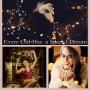 sentonni 2Pack Photo Clip String Lights100 LED 33 Ft Fairy Copper Lights with 60 Wood Clips with Ornaments DIY Battery Operated 8Modes Waterproof Bedroom Decor/IndoorPatio Wedding