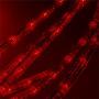 Ainfox LED Rope Light, 150Ft 1620 LEDs Indoor Outdoor Waterproof LED Strip Lights Decorative Lighting (red) Ainfox LED Rope Light, 150Ft 1620 LEDs Indoor Outdoor Waterproof LED Strip Lights Decorative Lighting (red)