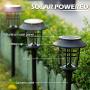 Solar Pathway Lights LeiDrail Landscape Lighting Outdoor Garden Path Light Glass Metal Waterproof Super Tall Warm White LED for Yard Patio Lawn - 6 Pack