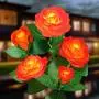 Outdoor Solar Garden Stake Lights,Upgraded LED Solar Powered Lights, Solar Decorative Lights, 2 Modes Flashing Lighting Solar Rose Lights for Patio Pathway Courtyard Garden Lawn (Orange) Outdoor Solar Garden Stake Lights,Upgraded LED Solar Powered Lights, Solar Decorative Lights, 2 Modes Flashing Lighting Solar Rose Lights for Patio Pathway Courtyard Garden Lawn (Orange)