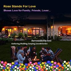 Solar Garden Lights Outdoor - Upgraded Realistic LED Solar Powered Rose Lights Flower Stake, Waterproof Solar Decorative Lights for Patio Pathway Courtyard Garden Lawn (Pink)