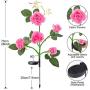 HeyMate Solar Garden Lights Outdoor 2 Pack Solar Pink Rose Flower Lights with 10 Roses Solar Christmas Decorative Lights Waterproof for Patio,Backyard,Yard,Pathway,Xmas Decorations