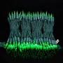 UL Certified Green LED Christmas String Lights, 66 Feet 200 LED Commercial Grade Christmas Light Set, Connectable Home Decor Lights for Patio Garden Wedding Holiday Halloween (Green)