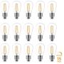 Brightech Ambience PRO LED Energy Efficient 2 Watt Soft White 2700K Dimmable Bulb - Outdoor String Lights – Edison-Inspired Exposed Filaments - 15 Pack - E26 Base