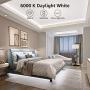 Lepro LED Strip Light, 32.8Ft Dimmable Vanity Lights, 6000K Super Bright LED Tape Lights, 600 LEDs SMD 2835, Strong 3M Adhesive, Suitable for Home, Kitchen, Under Cabinet, Bedroom, Daylight White