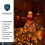 LED Outdoor String Lights - Novtech 164FT 2000LEDs Fairy String Lights Plug in Christmas Lights - Waterproof Decorative String Lights for Christmas Home Garden Patio Wedding Party Holiday - Warm White