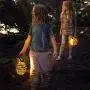 CIAOYE Pineapple Outdoor Solar Lantern, 2 Pack Optically Controlled Waterproof LED Lantern with Handle Fairy Lights for Garden Patio Party Tree Outdoor Home Decor, Warm White Pineapple