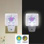 Vdsrup Magic Unicorn Roses Night Light Set of 2 Flowers Stars Plug-in LED Nightlights Peacock Feathers Auto Dusk-to-Dawn Sensor Lamp for Bedroom Bathroom Kitchen Hallway Stairs