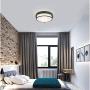 Berliget 12 Inch Modern 2 Lights Ceiling Lighting Metal Industrial Black Flush Mount Ceiling Light, Ceiling Light Fixture for Kitchen, Bedroom, Laundry, Living Room, Hallway