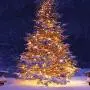 FUNPENY 2 Pack 50 LED Outdoor Christmas Lights, 16 FT Mini String Light with 8 Modes, Waterproof Tree Lights for Indoor Outdoor Patio Garden Party Wedding Christmas Decoration, Warm White FUNPENY 2 Pack 50 LED Outdoor Christmas Lights, 16 FT Mini String Light with 8 Modes, Waterproof Tree Lights for Indoor Outdoor Patio Garden Party Wedding Christmas Decoration, Warm White