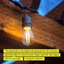 Brightech Ambience PRO LED Energy Efficient 2 Watt Warm White 2500K Dimmable Bulb - Outdoor String Lights – Edison-Inspired Exposed Filaments - 15 Pack - E26 Base
