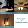 ST19(ST58) Dimmable Vintage LED Edison Bulb, Warm White 2700K,CRI>90,No Flicker,6W Equivalent to 60W, Antique LED Filament Bulbs,600LM E26 Medium Base, Clear Glass (ST19-2700K-6PACK)