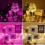 ER CHEN Dimmable USB String Lights, 33ft 100 LED Warm White & Pink Color Changing Fairy Lights with Remote&Timer, 8 Modes Silver Coated Copper Wire Lights for Bedroom, Patio, Party