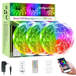 100Ft Smart LED Strip Lights Bluetooth, Hedynshine Dimmable Color Changing by 40Key Remote Controller Ultra Long Strip Lights, Sync to Music Light Strips 100feet