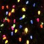C9 Christmas String Lights with ETL Certified Adaptor, Waterproof 50 LED String Lights Outdoor Christmas Lights for Christmas Trees, Garden, Patio, Wedding, Parties (Multi-Colored)