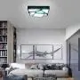 Modern Black Ceiling Lighting Fixture, 30W Flush Mount Black 6500K (Cool White) Square Classic Modern Metal LED Square Ceiling Lamp for Living Room Kitchen Dining Room