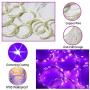 Halloween 300LED Curtain String Lights Purple Window Lights Remote Timer for Wall Backdrop Wedding Party Bedroom Garden Outdoor Indoor Decor(Purple)