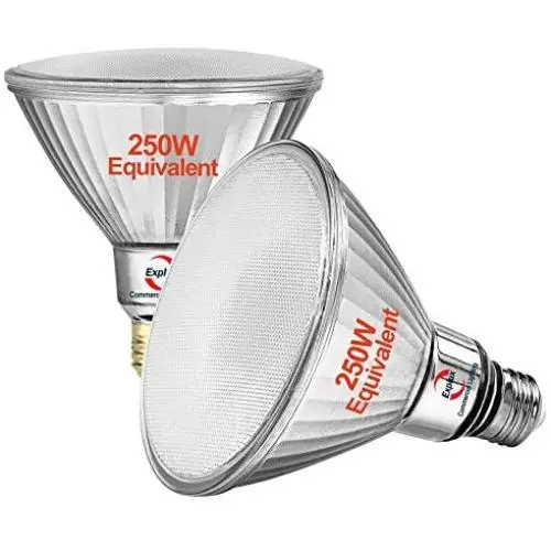 Explux 250W Equivalent LED PAR38 Flood Light Bulbs, 2400 Lumens, 2700K 2-Pack, Outdoor Full-Glass Weatherproof, Dimmable, Soft White