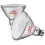 Explux 250W Equivalent LED PAR38 Flood Light Bulbs, 2650 Lumens, 4100K 2-Pack, Outdoor Full-Glass Weatherproof, Dimmable, Cool White