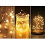 Twinkle Star 200 LED 66 FT Copper String Lights Fairy String Lights 8 Modes LED String Lights USB Powered with Remote Control for Christmas Tree Wedding Party Home Decoration, Warm White