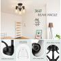 Tangkula Glass Ceiling Light Fixture, Clear Glass Shade, Semi Flush Mount Ceiling Light w/ Sturdy Metal Canopy, Modern 3-Light Close to Ceiling Light for Dining Room, Bedroom, Cafe, Living Room