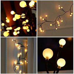 Globe String Light BaiYunPOY 8.2Ft LED Decorative String Lights Indoor Outdoor String Lights for Garden,Wedding,Xmas Party,Room,Dorm,Window Curtain,Bookshelf, Backyard,Wedding,Birthday Party