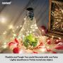 HXWEIYE Fairy String Lights-2 Pack, 100LED 33FT Copper Wire Lights USB Powered Hanging for Bedroom , Warm White, Waterproof Firefly String Light for Indoor Outdoor DIY Wedding Party