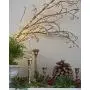 String Lights, PERFECTDAY 200 LED 66 FT Copper Fairy String Lights Warm White Waterproof USB Powered String Light for Indoor Outdoor Party Decoration