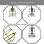 Dysmio Metal Bulb Guard Lamp Cage, Wire lamp Shade, 2-1/4-Inch Fitter Polished Brass Industrial Cage,for Pendant Light, Lamp Holder, Ceiling Fan Light Bulb Covers Vintage Style Industrial Grade