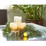 Furora LIGHTING LED Flameless Candles with Remote Control, Set of 8, Real Wax Battery Operated Pillars and Votives LED Candles with Flickering Flame and Timer Featured - Silver Glittery