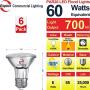 Explux Classic Full Glass LED PAR20 Flood Light Bulbs, High-Output 700 Lumens, 4100K Cool White 6-Pack, Dimmable, 60W Equivalent, Indoor/Outdoor