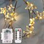 ADAINA Outdoor Battery Operated String Lights,8 Model Remote Dimmer Timer Waterproof 40 LEDs,14Ft Rope Twinkling Lights for Bedroom,Wedding,Party,Christmas Day Home Decoration by (1 Set/Warm White)