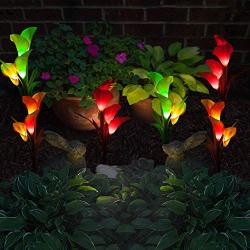 Marcoah Upgraded Solar Flower Lights - Outdoor Waterproof LED Flowers for Garden, Path, Landscape, Patio, and Lawn (Calla Lily, Yellow and White) - 2 Pack