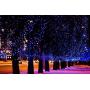 Marchpower Christmas String Light- 300 LED 131 feet 8 Modes Battery Operated Fairy Lights, Waterproof Indoor/Outdoor Decorative Lights for Xmas Tree Wedding Party Festival, Blue