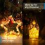 Ariceleo USB LED Fairy String Light, 1 Pack Copper Wire Fairy Lights for Indoor, Bedroom Festival Christmas Wedding Party Patio Decorative Window with USB Interface (16ft./5M,Warm White)