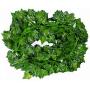 12PCS Artificial Vine Decorative Artificial Plant with 200 LEDs String Light